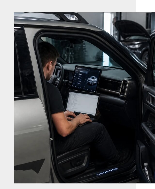 Русификация BYD Leopard 3 в Тулуне по цене от 21472 р. | ФастМобиль-Тлн